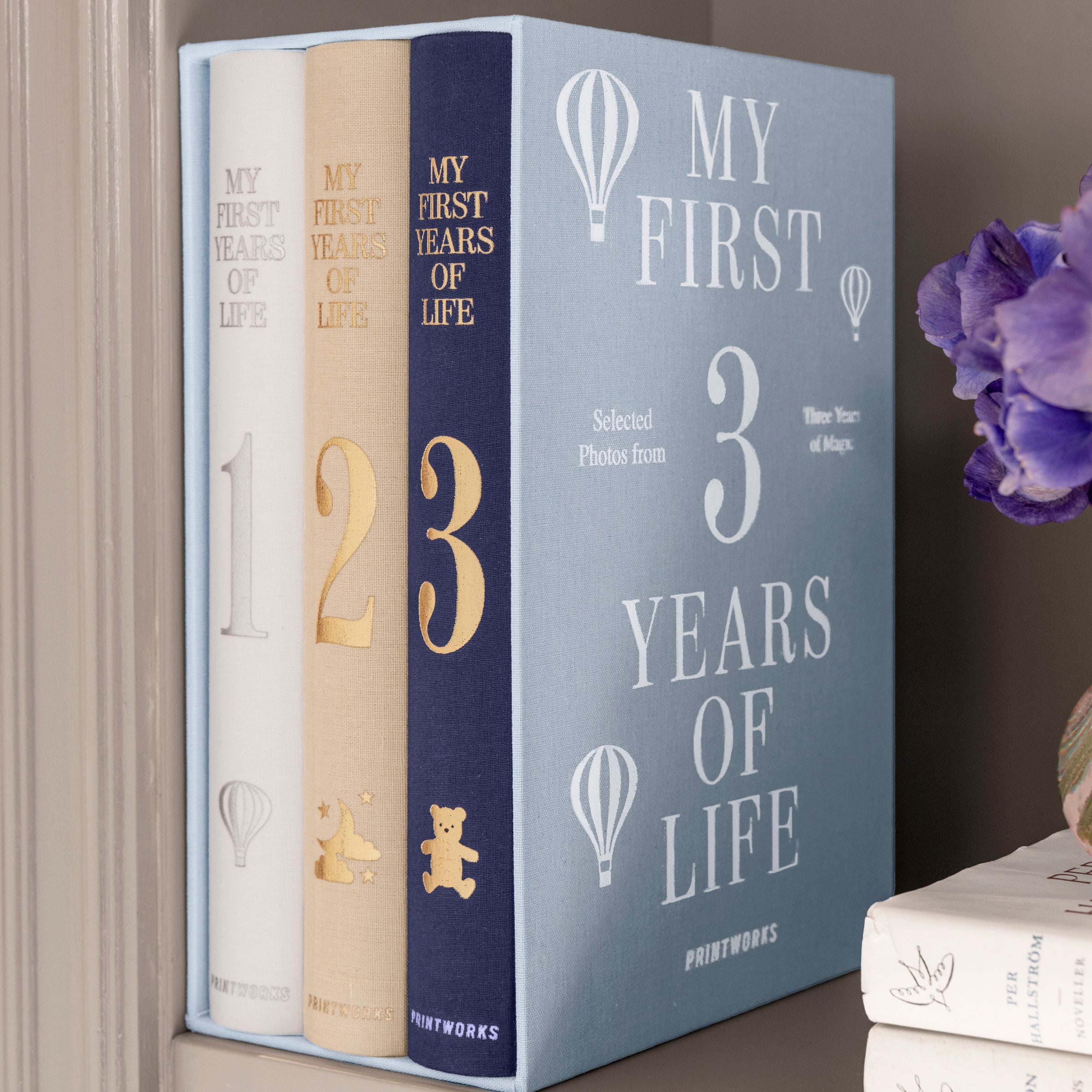 Lenox Westmore My First 3 Years Baby Photo Books, 3 Pack - Image 11