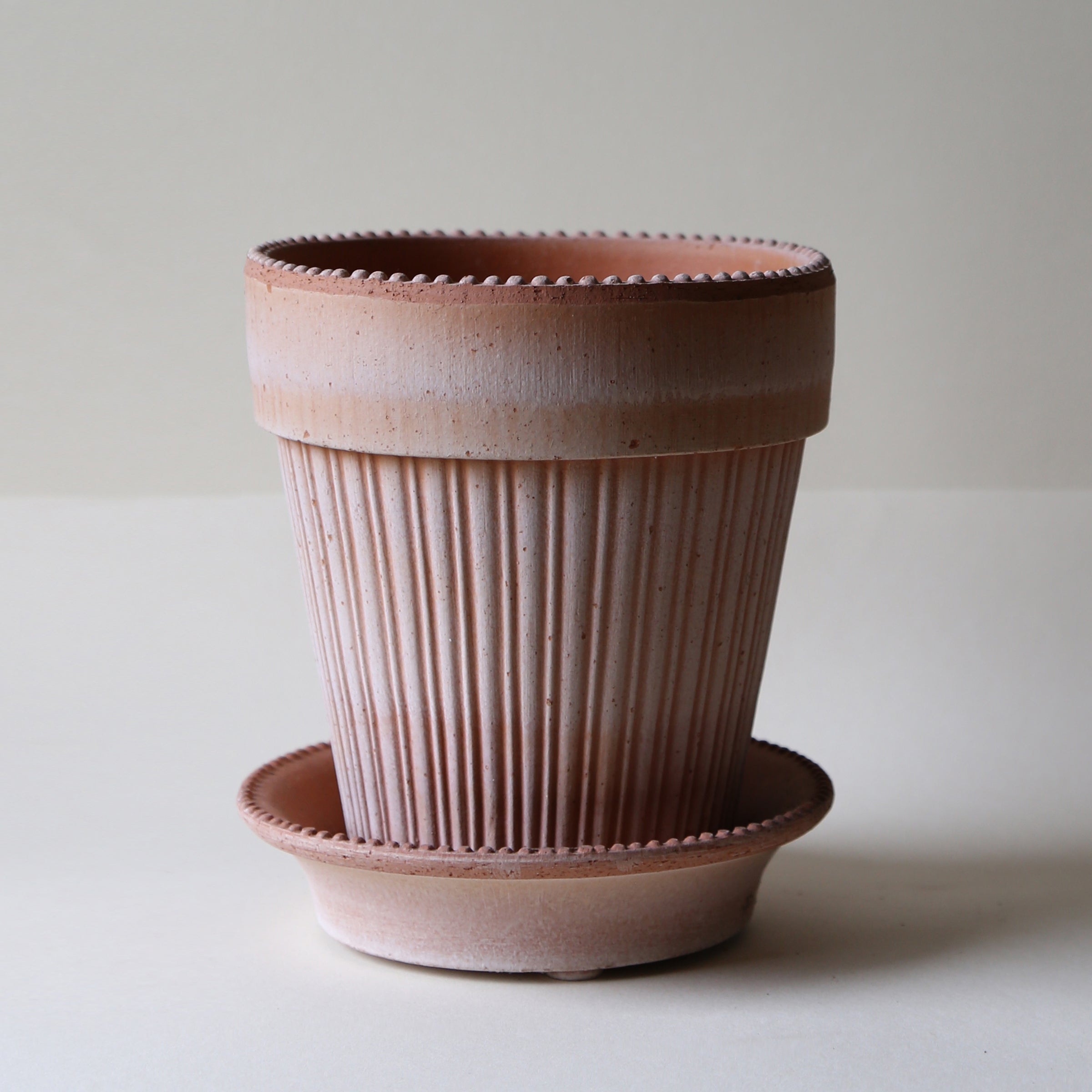 Lenox Westmore Simona Raw Rosa 16cm Pot with Saucer - Image 3