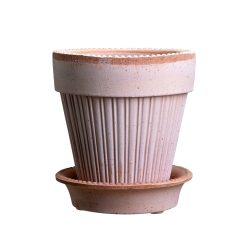 Lenox Westmore Simona Raw Rosa 16cm Pot with Saucer