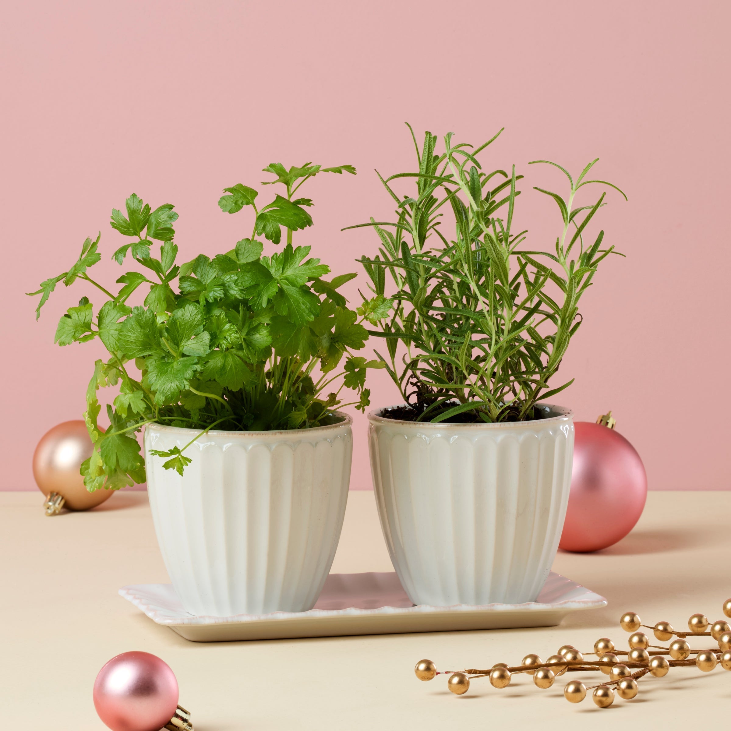 Lenox Westmore French Perle Scallop White 3-Piece Herb Pot Set - Image 4